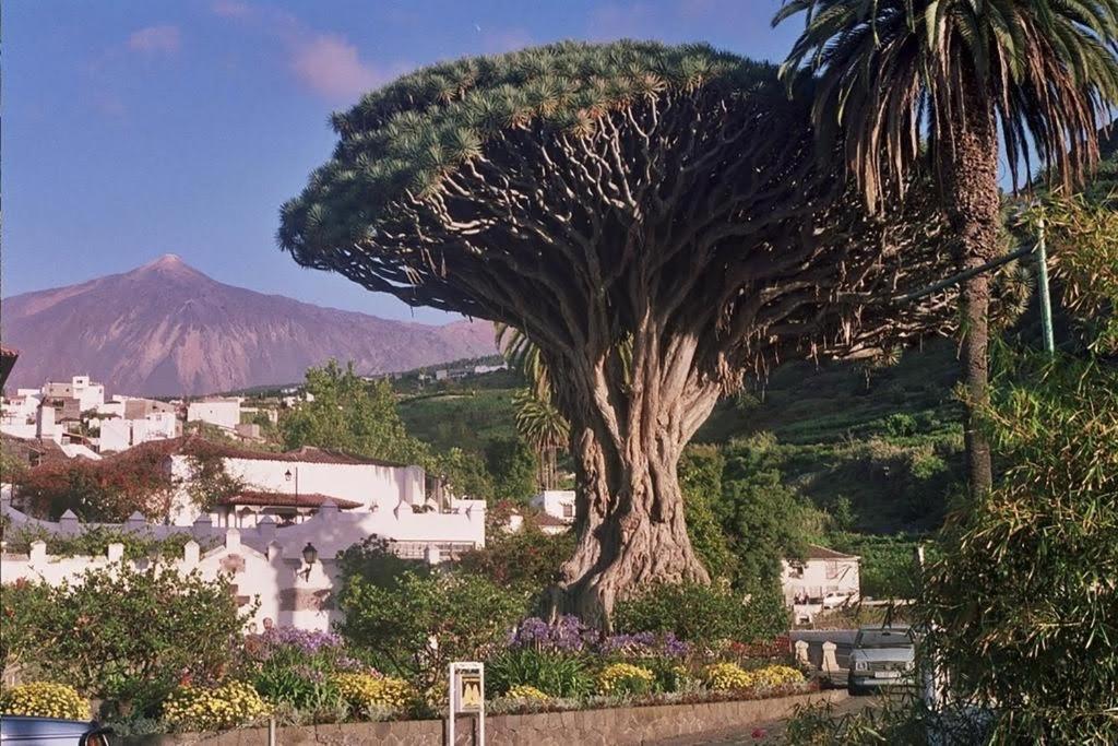 Villa Violeta La Laguna  Exterior photo